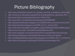 Picture Bibliography http://www.ashtonfarm.demon.co.uk/early_hominid_evolution/a_afarensis.htm http://commons.wikimedia.org/wiki/File:Australopithecus_afarensis.JPG http://www.flickr.com/photos/mharrsch/116012103/ http://www.flickr.com/photos/lucianaluciana/3018480596/ http://alyssaworldstudies.blogspot.com/2009/02/this-is-picture-of-lucy.html http://ijanpromoters.blogspot.com/2009_02_01_archive.html http://www.lithiccastinglab.com/gallery-pages/2005aprilhistoryofflintknappingpage1.htm https://www.msu.edu/~robin400/neanderthalensis.html http://www.kidspast.com/world-history/0015-neanderthals-and-tools.php http://leseyziesdetayac.info/articles/discovery-of-the-cro-magnon http://mybllogisbetterthansarahsblog.blogspot.com/2008_09_01_archive.html http://library.thinkquest.org/08aug/01930/history/stoneage.html 