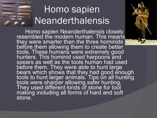 Homo sapien Neanderthalensis Homo sapien Neanderthalensis closely resembled the modern human. This means they were smarter than the three hominids before them allowing them to create better tools. These humans were extremely good hunters. This hominid used harpoons and spears as well as the tools human had used before them. They were able to hunt large bears which shows that they had good enough tools to hunt larger animals. Tips on all hunting tools were sharper allowing safer hunting. They used different kinds of stone for tool making including all forms of hard and soft stone. 