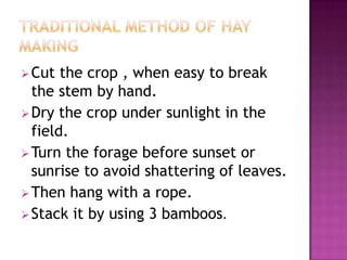  Cut  the crop , when easy to break
  the stem by hand.
 Dry the crop under sunlight in the
  field.
 Turn the forage before sunset or
  sunrise to avoid shattering of leaves.
 Then hang with a rope.
 Stack it by using 3 bamboos.
 