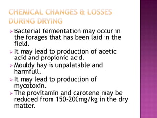  Bacterial fermentation may occur in
  the forages that has been laid in the
  field.
 It may lead to production of acetic
  acid and propionic acid.
 Mouldy hay is unpalatable and
  harmfull.
 It may lead to production of
  mycotoxin.
 The provitamin and carotene may be
  reduced from 150-200mg/kg in the dry
  matter.
 