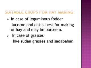    In case of leguminous fodder
     lucerne and oat is best for making
    of hay and may be barseem.
    In case of grasses
      like sudan grasses and sadabahar.
 