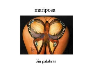 mariposa Sin palabras 