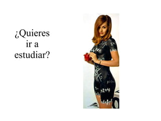 ¿Quieres ir a estudiar? 