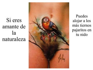 Si eres amante de la naturaleza Puedes alojar a los más tiernos pajaritos en tu nido 