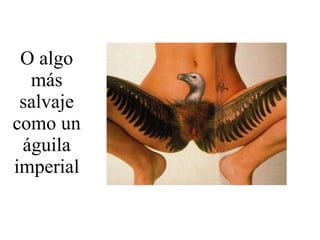 O algo más salvaje como un águila imperial 