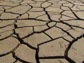 Enterprise 2.0 - die Kunst loszulassen. Mit Web 2.0 zu flexiblen Unternehmensnetzwerken