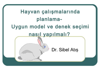Hayvan çalışmalarında
planlama-
Uygun model ve denek seçimi
nasıl yapılmalı?
Dr. Sibel Atış
 
