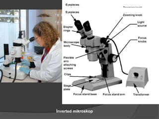 İnverted mikroskop

 