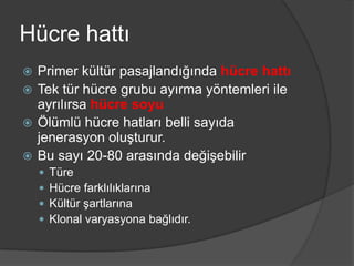 Hücre hattı
Primer kültür pasajlandığında hücre hattı
 Tek tür hücre grubu ayırma yöntemleri ile
ayrılırsa hücre soyu
 Ölümlü hücre hatları belli sayıda
jenerasyon oluşturur.
 Bu sayı 20-80 arasında değişebilir







Türe
Hücre farklılıklarına
Kültür şartlarına
Klonal varyasyona bağlıdır.

 