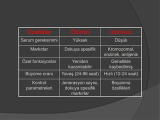Özellikler

Ölümlü

ölümsüz

Serum gereksinimi

Yüksek

Düşük

Markırlar

Dokuya spesifik

Kromozomal,
enzimik, antijenik

Özel fonksiyonlar

Yeniden
kazanılabilir

Genellikle
kaybedilmiş

Büyüme oranı

Yavaş (24-96 saat)

Hızlı (12-24 saat)

Kontrol
parametreleri

Jenerasyon sayısı,
dokuya spesifik
markırlar

Boyanma
özellikleri

 