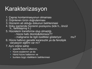 Karakterizasyon
1. Çapraz kontaminasyonun olmaması
2. Orijinlenen türün doğrulanması
3. Hücrenin ait olduğu dokunun belirlenmesi
4. Doku içerisinde hücrenin pozisyonu (kök h., öncül
h., farklılaşmış h.)
5. Hücrelerin transforme olup olmadığı
- hücre hattı ölümlü&ölümsüz??
- malignansi ile ilgili özellikler gösteriyor
6. Hücre hattının genetik kararsızlık ya da fenotipik
varyasyon eğilimi var mı?
7. Aynı orijine sahip





spesifik hücre hatlarının,
hücre soylarının ya da
hibrid hücre hatlarının ve
bunlara özgü niteliklerin belirlenmesi

mu?

 