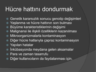 Hücre hattını dondurmak












Genetik kararsızlık sonucu genotip değişimleri
Yaşlanma ve hücre hattının son bulması
Büyüme karakteristiklerinin değişimi
Malignansi ile ilişkili özelliklerin kazanılması
Mikroorganizmalarla kontaminasyon
Diğer hücre hatlarıyla çapraz kontaminasyon
Yapılan hatalar
İnkübasyonda meydana gelen aksamalar
Para ve zaman tasarrufu
Diğer kullanıcıların da faydalanması için.

 