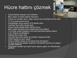 Hücre hattını çözmek


















Çözdürülecek ampulun yeri belirlenir.
Besi vasatı ve kültür kapları hazırlanır.
Ampul sıvı azottan alınır. doğru ampul olup olmadığı kontrol edilir.
37 C su banyosuna konur.
Çözüldükten sonra ampul %70 alkolle silinir.
Laminair flow kabin içinde açılır.
Ampul içeriği pipetle kültür kabına konur.
Besi vasatı yavaşça hücre süspansiyonuna eklenir.
10 ml besi vasatı yaklaşık 2 dk süre içerisinde kültüre eklenir.
2 dk 100g’de santrifüjlenir.
Üstteki besi vasatı atılır.
Hücreler taze besi vasatı ile yeniden süspanse edilir.
Kültür kaplarına ekim yapılır.
Ampul naftalen black ya da trypan blue ile boyanır.
24 saat sonra tek tabaka oluşturan hücrelerde tutunma ve yaşam
yüzdesi belirlenir.
Süspanse hücreler için canlı hücre sayımı yapılır ve mikroskopta
gözlenir.

 