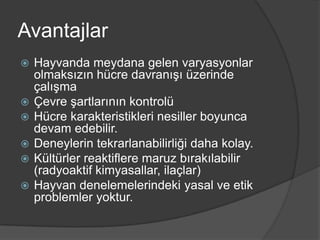 Avantajlar








Hayvanda meydana gelen varyasyonlar
olmaksızın hücre davranışı üzerinde
çalışma
Çevre şartlarının kontrolü
Hücre karakteristikleri nesiller boyunca
devam edebilir.
Deneylerin tekrarlanabilirliği daha kolay.
Kültürler reaktiflere maruz bırakılabilir
(radyoaktif kimyasallar, ilaçlar)
Hayvan denelemelerindeki yasal ve etik
problemler yoktur.

 