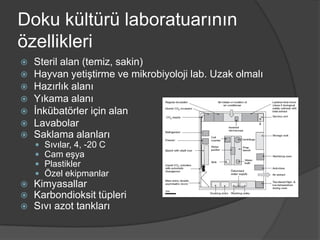 Doku kültürü laboratuarının
özellikleri









Steril alan (temiz, sakin)
Hayvan yetiştirme ve mikrobiyoloji lab. Uzak olmalı
Hazırlık alanı
Yıkama alanı
İnkübatörler için alan
Lavabolar
Saklama alanları









Sıvılar, 4, -20 C
Cam eşya
Plastikler
Özel ekipmanlar

Kimyasallar
Karbondioksit tüpleri
Sıvı azot tankları

 