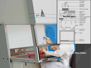 Laminar flow kabin

 