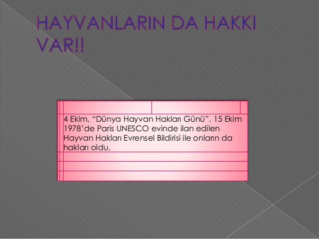 Prof. Sözüer: Affa karşı değilim, ama öyle öneriler yapılıyor ki 94