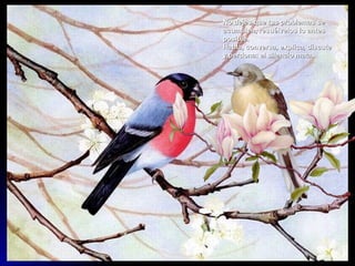 No dejes que tus problemas se
acumulen, resuélvelos lo antes
posible.
Habla, conversa, explica, discute
y perdona: el silencio mata.
 