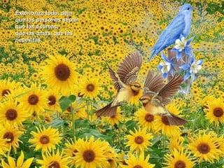 Exterioriza todo, deja
que las personas sepan
que las estimas,
que las amas, que las
necesitas.
 