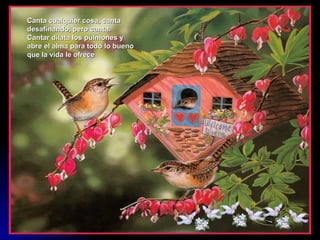 Canta cualquier cosa, canta
desafinando, pero canta.
Cantar dilata los pulmones y
abre el alma para todo lo bueno
que la vida le ofrece
 