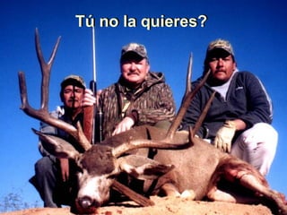 Tú no la quieres? Tú no la quieres? 