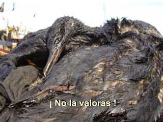 No la valoras ¡ No la valoras ! 