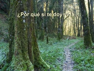 ¿Por qué si te doy vida … ¿Por qué si te doy vida … 