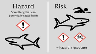 Hazard And Risk Ict Example Common hazard and risk in ICT areas.pptx