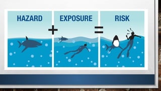 Common Ict Risks Common hazard and risk in ICT areas.pptx