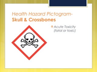 Health Hazard Pictogram-
Skull & Crossbones
 Acute Toxicity
(fatal or toxic)
 