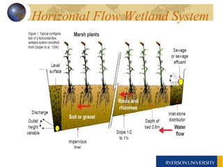 Horizontal Flow Wetland System  