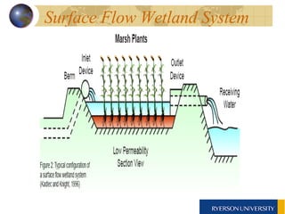 Surface Flow Wetland System 