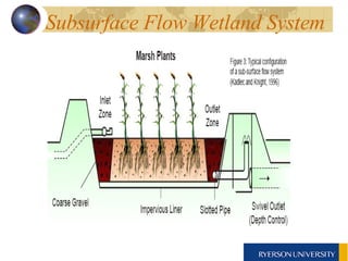 Subsurface Flow Wetland System 