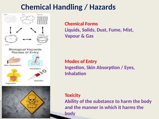 Comprehensive Guide to Hazardous Chemical Handling and Safety Measures ...