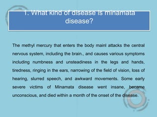 1. What kind of disease is minamata
disease?
The methyl mercury that enters the body mainl attacks the central
nervous system, including the brain., and causes various symptoms
including numbness and unsteadiness in the legs and hands,
tiredness, ringing in the ears, narrowing of the field of vision, loss of
hearing, slurred speech, and awkward movements. Some early
severe victims of Minamata disease went insane, became
unconscious, and died within a month of the onset of the disease.
 