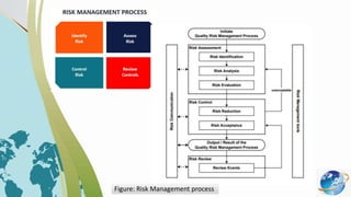 Figure: Risk Management process
 