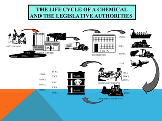 CWA
MPRSA PWSA SDWA
CAA
WASTE
WASTE
HMTA
MANUFACTURER
OSHA
DEVELOPMENT
DISTRIBUTION
OSHA
USCG
FRA
FHWA
FAA
CPSA
FFDCA
OSHA
FIFRA
OSHA
CONSUMER PRODUCTS
INDUSTRIAL PRODUCTS
TSCA
CAA
CWA
FIFRA
RCRA
FHSA
SDWA
HMTA
MRAS
THE LIFE CYCLE OF A CHEMICAL
AND THE LEGISLATIVE AUTHORITIES
 