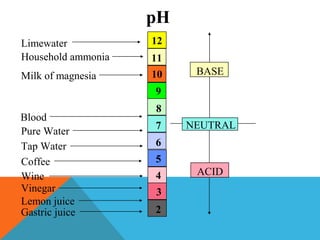 pH
12
11
10
9
8
7
6
5
4
3
2
ACID
NEUTRAL
BASE
Limewater
Household ammonia
Milk of magnesia
Blood
Pure Water
Tap Water
Coffee
Wine
Vinegar
Lemon juice
Gastric juice
 