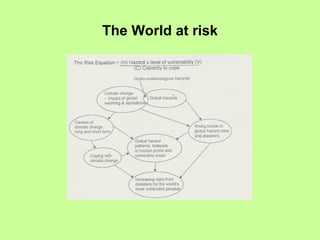 The World at risk 