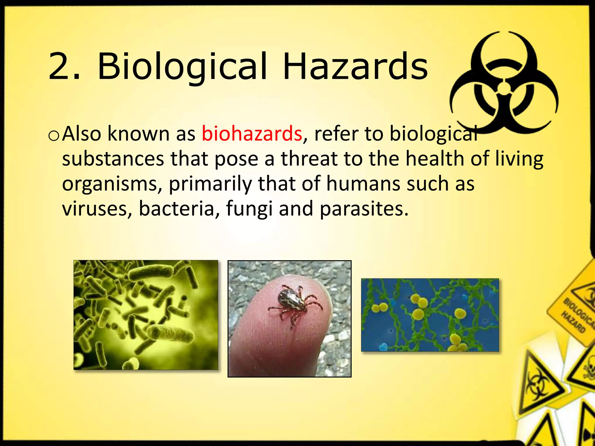 Hazard & Risk.pdf