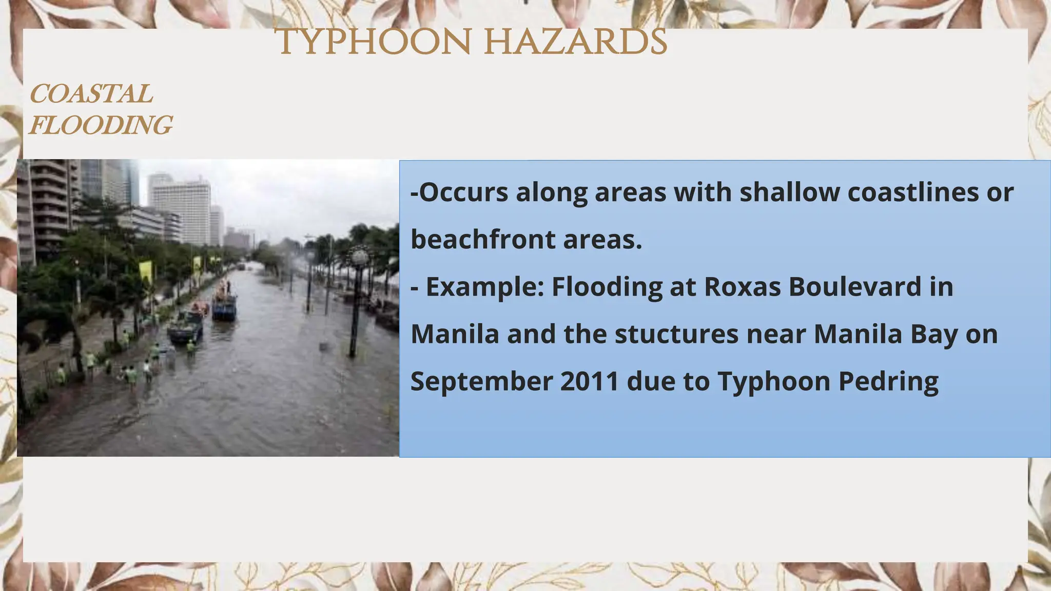 Hazards Natural And Man Made Hazards Pptx