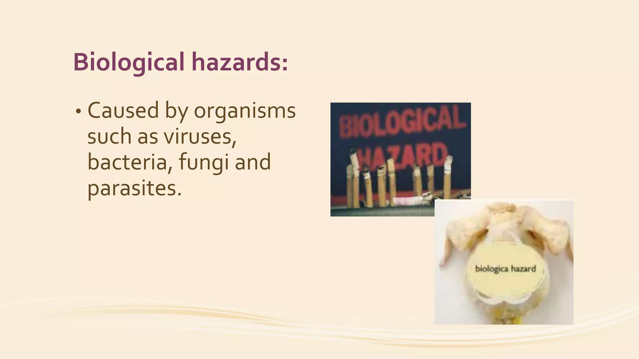 Hazards and risks in the workplace | PPTX