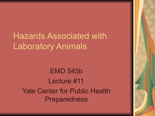 Hazards Associated with Research Animals.ppt
