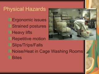Hazards Associated with Research Animals.ppt
