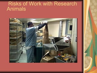 Hazards Associated with Research Animals.ppt