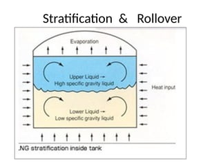Stratification & Rollover
 