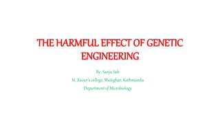 THE HARMFUL EFFECT OF GENETIC
ENGINEERING
By- Sanju Sah
St. Xavier’s college, Maitighar, Kathmandu
Department of Microbiology
 