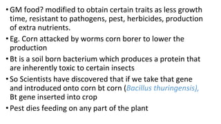 •GM food? modified to obtain certain traits as less growth
time, resistant to pathogens, pest, herbicides, production
of extra nutrients.
•Eg. Corn attacked by worms corn borer to lower the
production
•Bt is a soil born bacterium which produces a protein that
are inherently toxic to certain insects
•So Scientists have discovered that if we take that gene
and introduced onto corn bt corn (Bacillus thuringensis),
Bt gene inserted into crop
•Pest dies feeding on any part of the plant
 