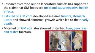 • Researches carried out on laboratory animals has supported
the claim that GM foods are toxic and cause negative health
effects.
• Rats fed on GM corn developed massive tumors, stomach
ulcers and showed abnormal growth which led to their early
death.
• Mice fed on GM soy later showed disturbed liver, pancreas
and testes function.
 