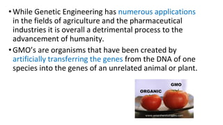 Hazards of genetic engineering | PPTX